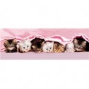 Clementoni-39127-Puzzle 1000 pc-Kittens under blanket