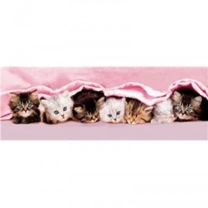 Clementoni-39127-Puzzle 1000 pc-Kittens under blanket
