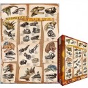 Eurographics - Puzzle 1000 pièces - Reconstitution de crânes de Dinosaures