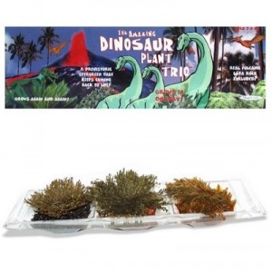 DuneCraft - Jeu éducatif - Science et Nature - La plante des dinosaures en trio (Dunecraft, Jeux scientifiques)