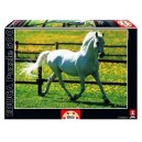Educa toys Educa - 11735 - Puzzle Adulte 500 pièces - Cheval Blanc