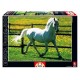 Educa toys Educa - 11735 - Puzzle Adulte 500 pièces - Cheval Blanc