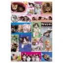 Educa toys Educa - Puzzle 1000 pièces - Collage Chatons