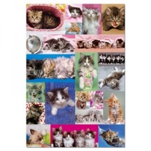 Educa Educa toys - Puzzle 1000 pieces - Kittens Collage