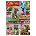 Educa toys Educa - Puzzle 1000 pièces - Collage petits chiens