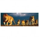 Educa toys Educa - Puzzle 1000 pièces panoramique - Famille de Lions