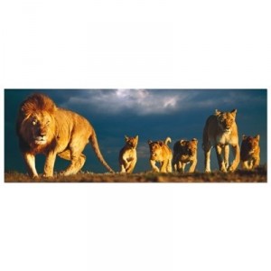 Educa toys Educa - Puzzle 1000 pièces panoramique - Famille de Lions