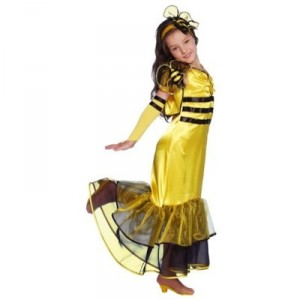 Raspberry Company - 59310 - Costume - Panoply Hanger - Princess Bee - 5 - 7 years (Raspberry And Company)
