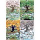 Heye Verlag Heye - Puzzle 2000 pièces - Blachon : Les quatre saisons