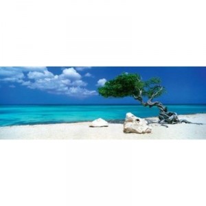 Heye Verlag University Games - HEYE 29,399 - Puzzle - Divi Divi Tree Alexander - Von Humboldt - 1000 Rooms