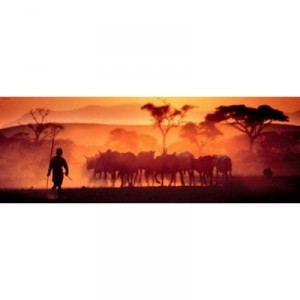 Heye Verlag University Games - HEYE 29,400 - Puzzle - Kalahari Desert Alexander - Von Humboldt - 1000 Rooms