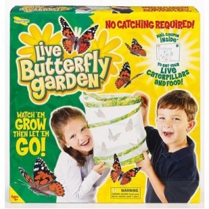 Insect Lore Theme Packs | Display Decorator [Toy] (Pams Toys)