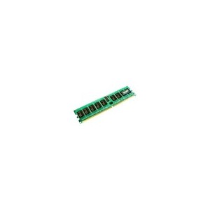 Transcend - 1go mémoire pour Dell - ordinateur - Optiplex 745, Optiplex 755 DDR2 RAM PC2-6400 1 Go (TS1GDL745)