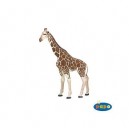 Papo Girafe
