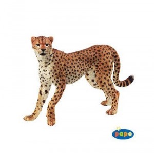 Papo - 50020 - Animaux - Guépard