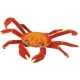 Plastoy - 2617-29 - Figurine - Animal - Crabe Des Galapagos