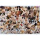 Ravensburger - 1000 pièces - Galerie Chiens (Ravensburger)
