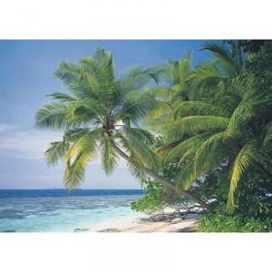 Ravensburger - 16245 - Puzzle - 1500 Pièces Maldives