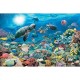 Ravensburger - 17426 - Puzzle - Sous La Mer - 5000 Pièces