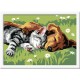 Ravensburger - 27854 - Peinture au Numéro Mouton "Tiefer Schlaf, Malen nach Zahlen" - 13 x 18 cm (Im...