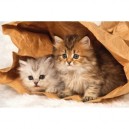 Ravensburger - Puzzle - Cache-Cache dans un Sac. - 1000 Pièces