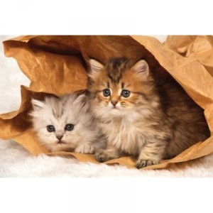 Ravensburger - Puzzle - Cache-Cache dans un Sac. - 1000 Pièces