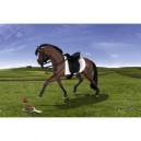 Revell GeeGee Friends - 27501 - Figurine - Animaux - Etalon Holsteiner