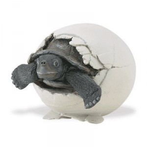 Safari Plastoy - 2609-29 - Figurine - Animal - uf Tortue Des Galapagos