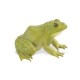 Safari Plastoy - 2687-29 - Figurine - Animal - Grenouille Taureau