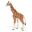 Safari Plastoy - 2706-29 - Figurine - Animal - Girafe Adulte