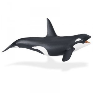 Safari Plastoy - 2751-29 - Figurine - Animals - Killer Whale