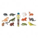 Safari Plastoy - 6815-04 - Figurine - Animal - Tubo Figurine - Animal Compagnie