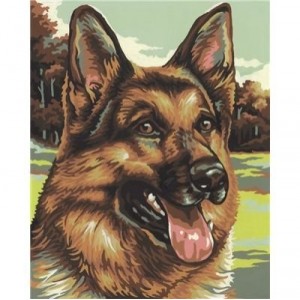 Schipper paint by number for children German Shepherd