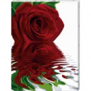 Schipper - 609290475 - Peinture au Numéro Roses "Malen nach Zahlen, Reflections of a Rose" - 60 x 80...