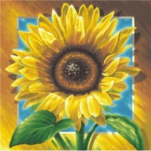 Schipper - 9250 411 - Paint by Number - Sunflower - 40x40 cm (Import Germany)