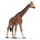 Schleich - 14320 - Figurine - Animaux - Girafe Femelle