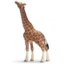 Schleich - 14389 - Figurine - Animaux - Girafe Mâle Mangeant (Schleich)