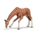 Schleich - 14390 - Figurine - Animaux - Girafe Femelle Buvant