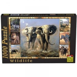 Spiel Spass - Puzzle 1000 pieces - Wildlife: Elephant