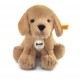 Lumpi le chiot Golden Retriever de Steiff, blond doré, 24 cm