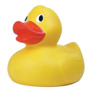 Giant Bath Duck (Tobar, birth and infancy)