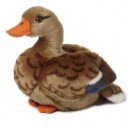 WWF - 15175001 - Peluche - Canard Sauvage - 25 Cm