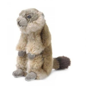 Wwf - 15201012 - Plush - Groundhog Assisi - 18 cm