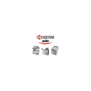Kyocera CF-4GB - carte mémoire flash - 4 Go - CompactFlash Card (870LM00092)